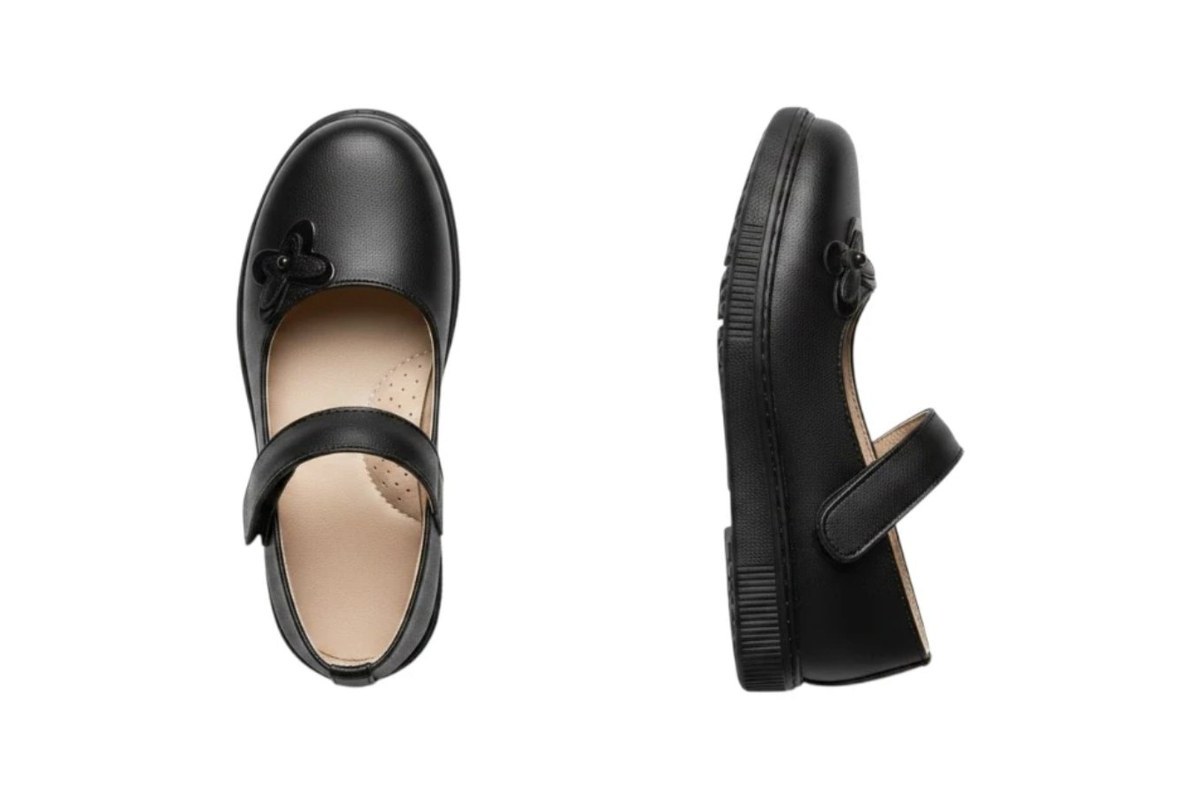 بلارينا مدارس · R250 School